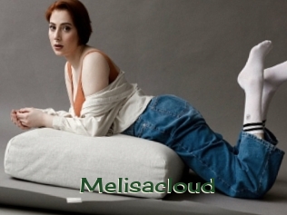Melisacloud
