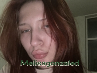 Melisagonzaled