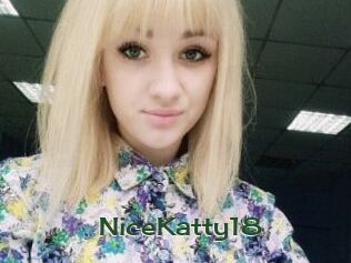 NiceKatty18