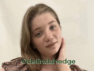 Odelindahedge