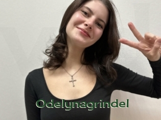 Odelynagrindel