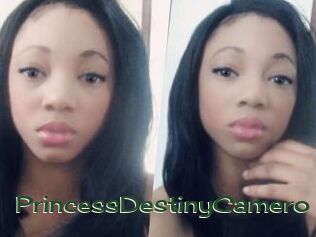 PrincessDestinyCamero