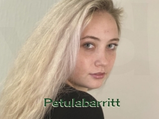 Petulabarritt