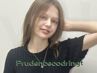 Prudencecodringt