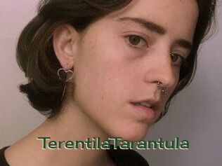 TerentilaTarantula