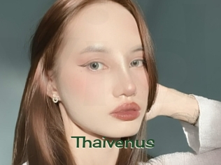 Thaivenus