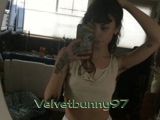 Velvetbunny97