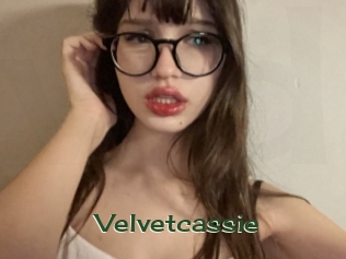 Velvetcassie