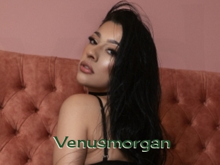 Venusmorgan