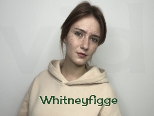 Whitneyfigge