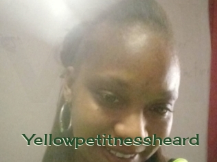 Yellowpetitnessheard