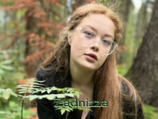 Zadnizza