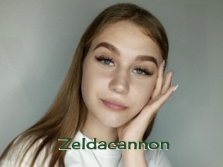 Zeldacannon