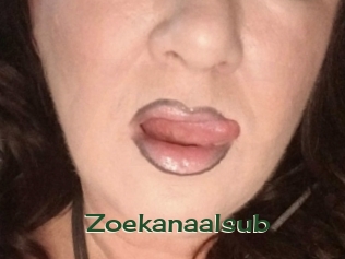 Zoekanaalsub